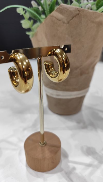Pendientes Noemí